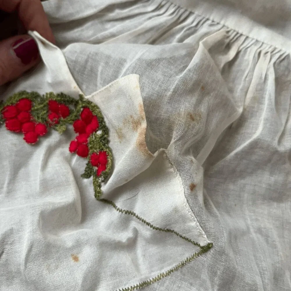 VTG 1950s Sheer Hostess Apron Embroidered Valentine Carmen Lee Cotton